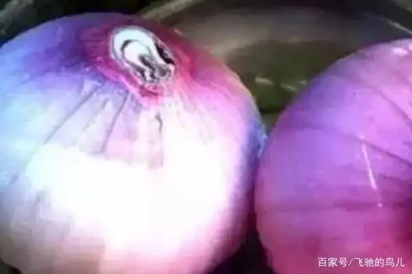 实用生活小技能_生活技能小妙招_生活小技巧能用吗