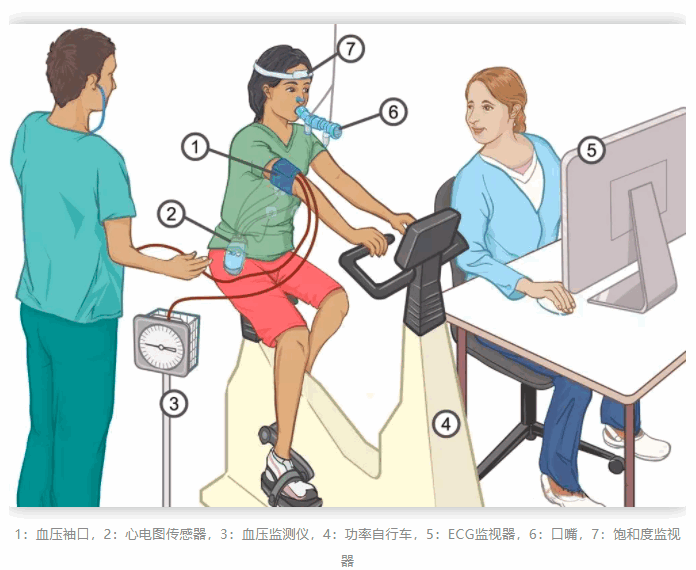 ny运动裙_有氧运动短裙女_运动短裙怎么搭配