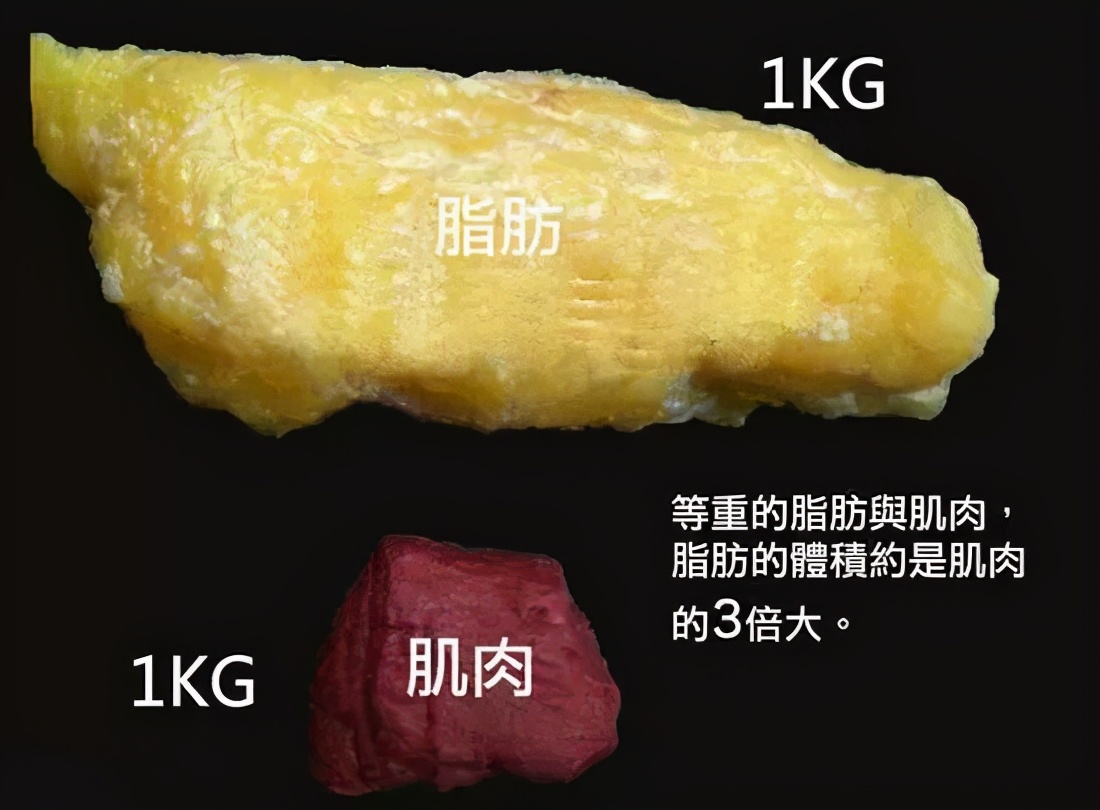 健身房瘦身运动动作_全套瘦身健身动作示范_瘦身房是如何瘦身的