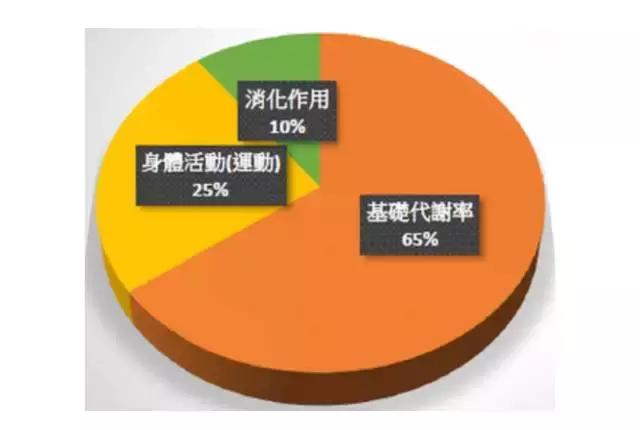 增脂怎么样_健身增脂_健身增脂肪