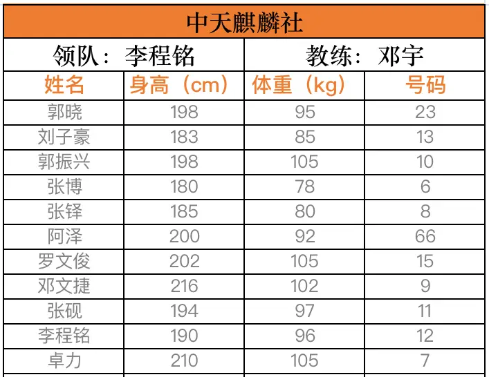 篮球冠军mp4_篮球冠军赛游戏在线玩_冠军篮球bt游戏